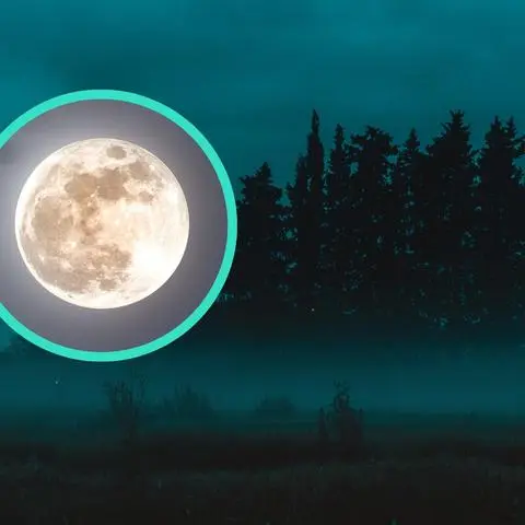 Im letzten Monat des Jahres könnt ihr rund um den Mond gleich mehrere astronomische Phänomene erleben. (Symbolbild-Collage)