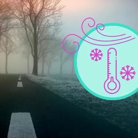 Frost, Nebel, Feinstaub: Kurz vor dem Jahreswechsel wird das Wetter in Hessen ungemütlich. (Symbolbild-Collage)